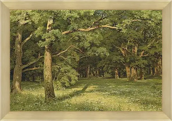 Картина в раме - Лесная поляна. Иван Шишкин