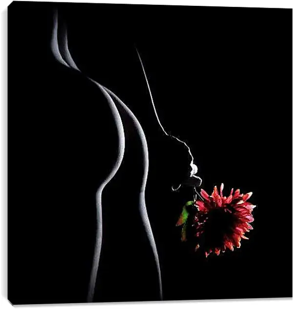 Постер на подрамнике - Силуэт