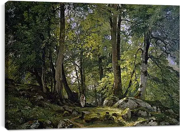 Постер на подрамнике - Буковый лес в Швейцарии. Иван Шишкин