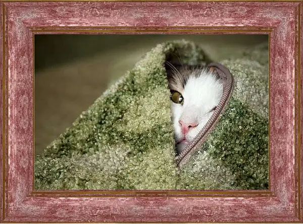 Картина в раме - Портрет кошки на зеленом фоне