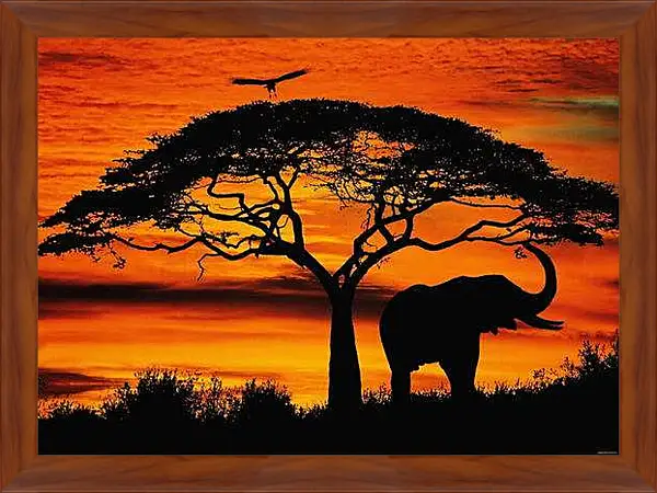 Картина в раме - Африка. Закат