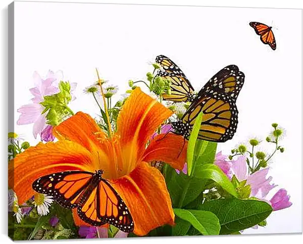 Постер на подрамнике - Лилии и бабочки