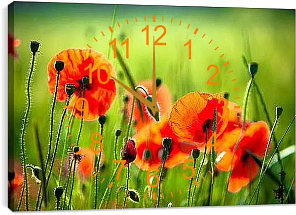 Часы картина - Поле цветов
