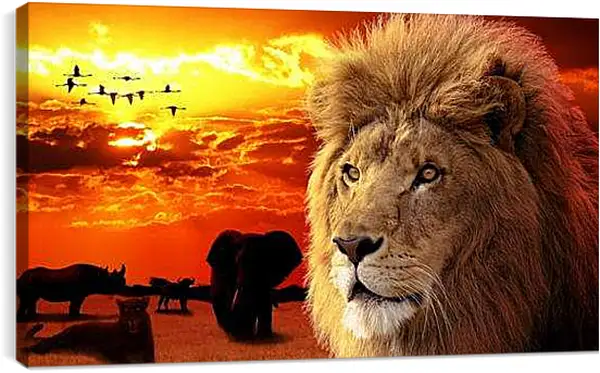 Постер на подрамнике - Лев