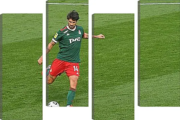 Модульная картина - Ведран Чорлука. ФК Локомотив Москва. FC Lokomotiv Moscow