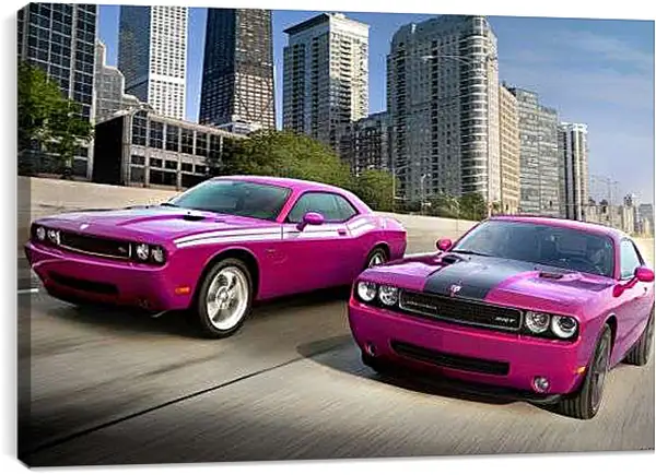 Постер на подрамнике - Розовые мустанги