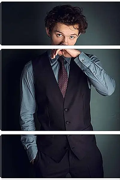 Модульная картина - Том Холланд. Tom Holland