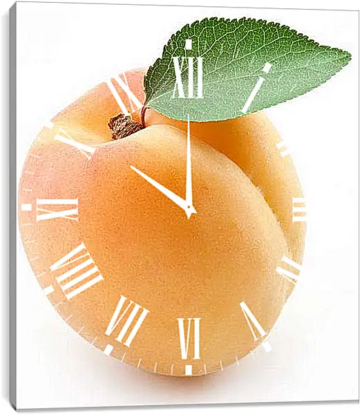 Часы картина - Абрикос. Абрикосовое Настроение.