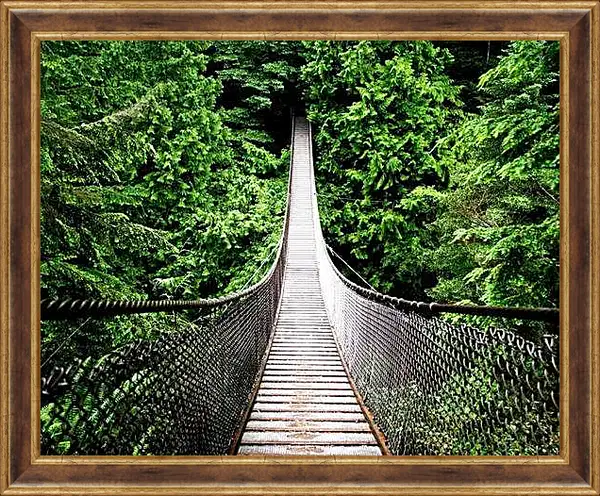 Картина в раме - Подвесной мост