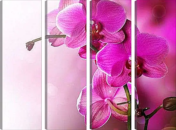Модульная картина - Розовая орхидея