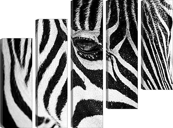 Модульная картина - Зебра