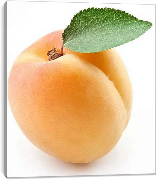 Постер на подрамнике - Абрикос. Абрикосовое Настроение.