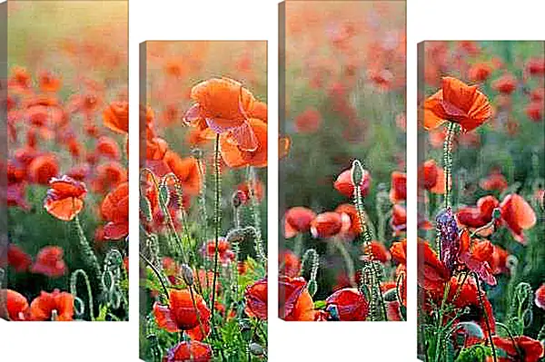 Модульная картина - Поле маков