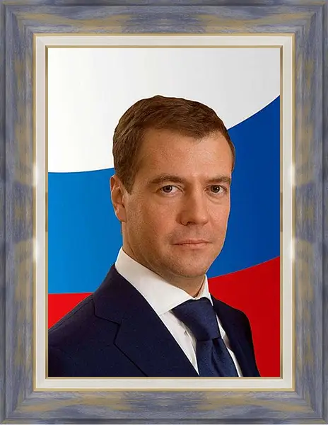 Картина в раме - Дмитрий Анатольевич Медведев