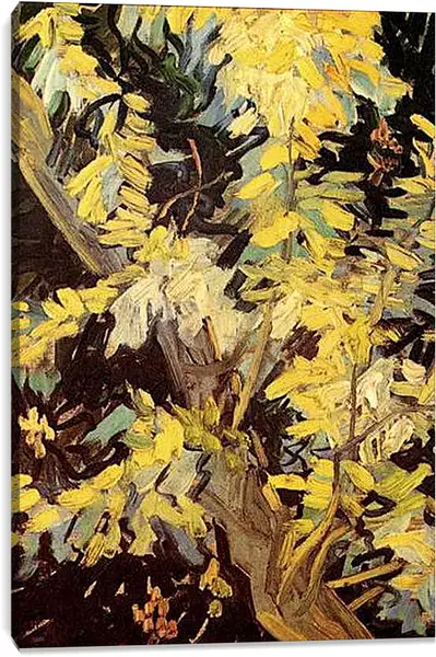 Постер на подрамнике - Blossoming Acacia Branches. Винсент Ван Гог