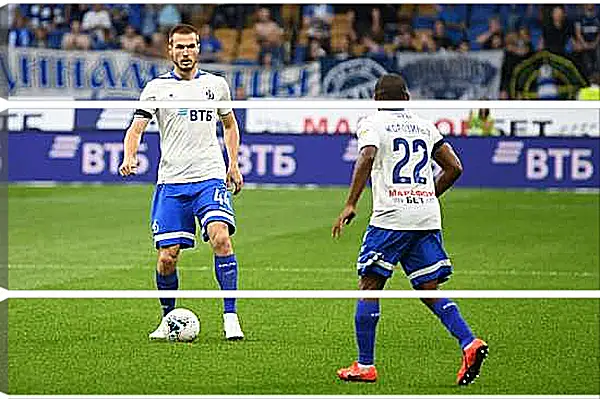 Модульная картина - Контроль мяча. ФК Динамо Москва. FC Dynamo Moscow