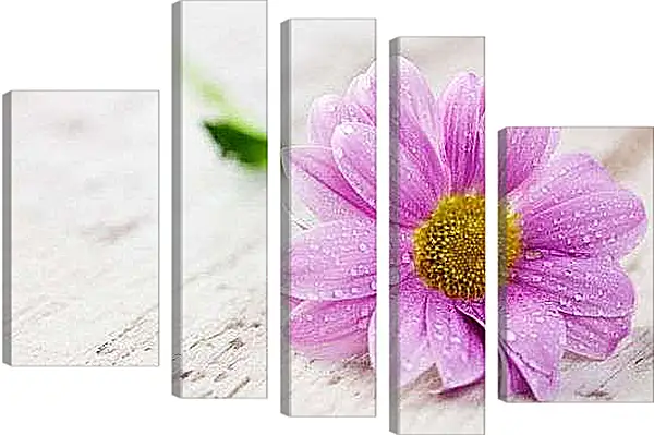 Модульная картина - Сиреневая гербера