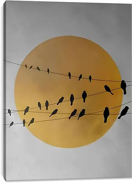 Постер на подрамнике - Птицы на проводах