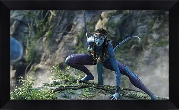 Картина в раме - Аватар. Avatar