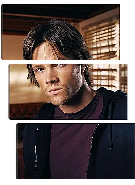 Модульная картина - Джаред Падалеки. Jared Padalecki