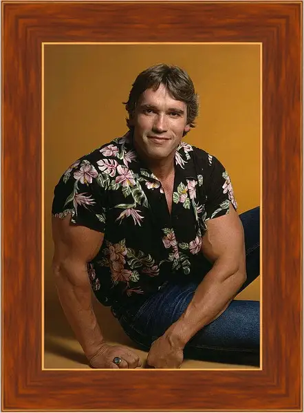 Картина в раме - Арнольд Шварценеггер (Arnold Schwarzenegger)