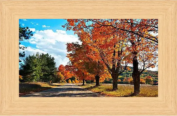 Картина в раме - Осень