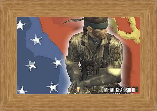 Картина в раме - Metal Gear