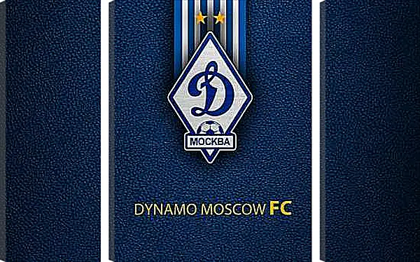 Модульная картина - Эмблема ФК Динамо Москва