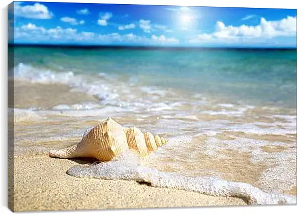 Постер на подрамнике - Ракушка на пляже