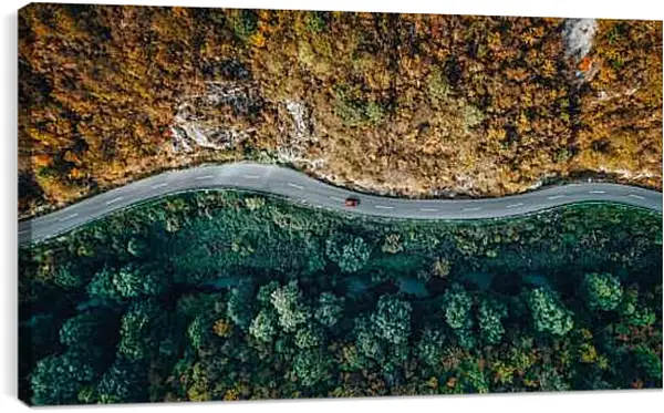 Постер на подрамнике - Дорога разделяющая лес