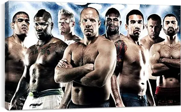 Постер на подрамнике - UFC. MMA. Фёдор Емельяненко.