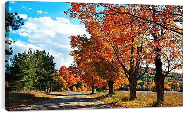 Постер на подрамнике - Осень