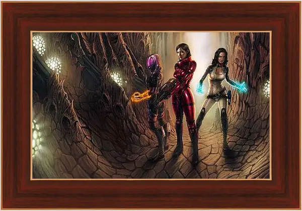 Картина в раме - Mass Effect 2