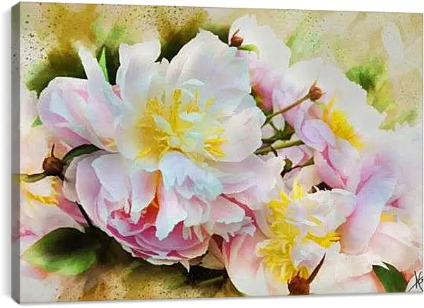 Постер на подрамнике - Пионы