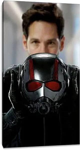 Постер на подрамнике - Человек Муравей