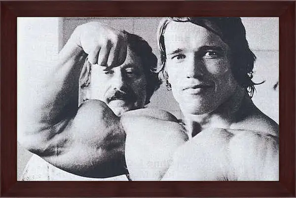Картина в раме - Арнольд Шварценеггер (Arnold Schwarzenegger)