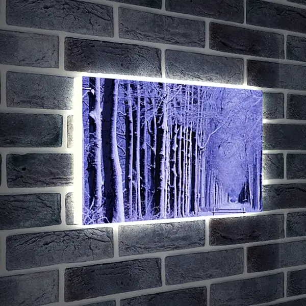 Лайтбокс световая панель - Зима
