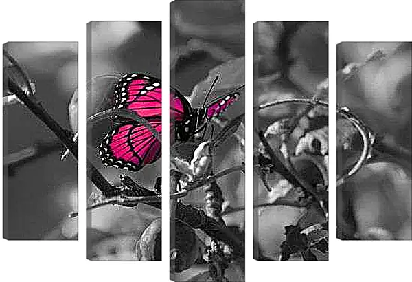 Модульная картина - Бабочка