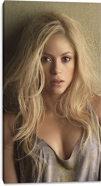 Постер на подрамнике - Шакира (Shakira)