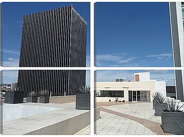 Модульная картина - Белое и черное