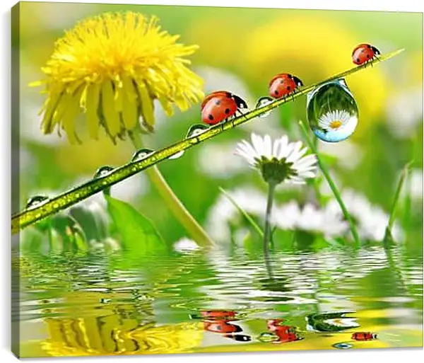 Постер на подрамнике - Жёлтый одуванчик с ромашкой и божьими коровками