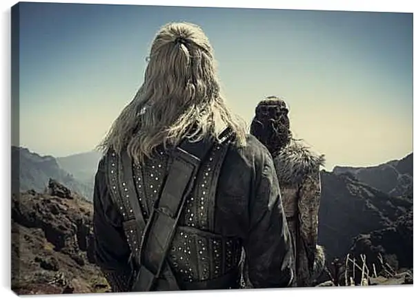 Постер на подрамнике - Ведьмак. The Witcher