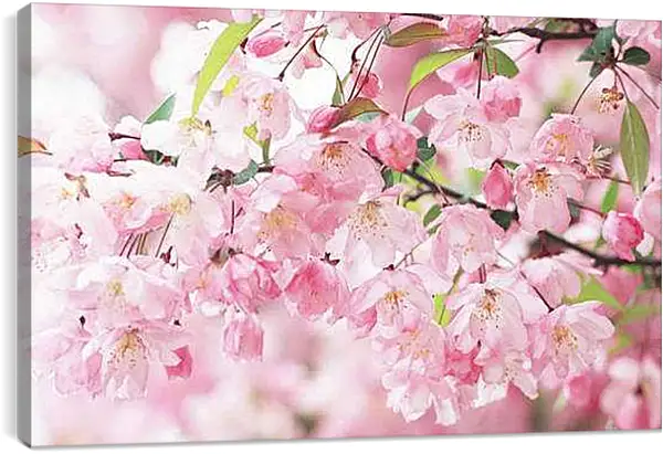 Постер на подрамнике - Весна