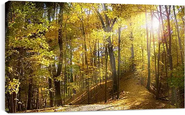 Постер на подрамнике - Осень