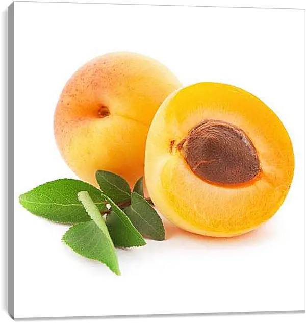 Постер на подрамнике - Солнечные абрикосы.