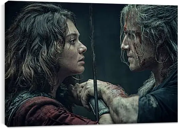 Постер на подрамнике - Ведьмак. The Witcher