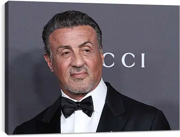 Постер на подрамнике - Сильвестр Сталлоне. Sylvester Stallone