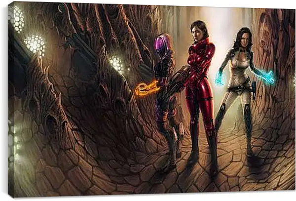 Постер на подрамнике - Mass Effect 2