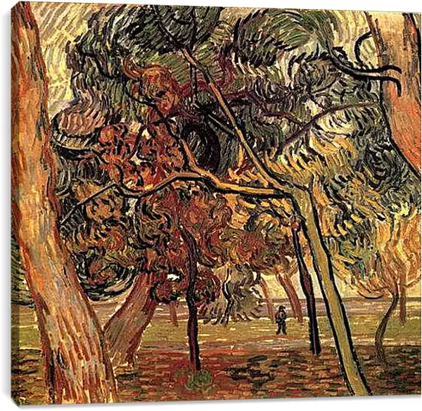 Постер на подрамнике - Study of Pine Trees. Винсент Ван Гог