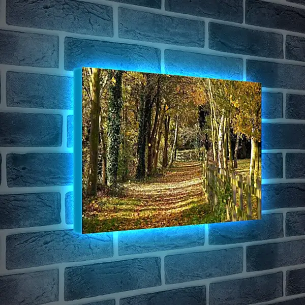 Лайтбокс световая панель - Осень